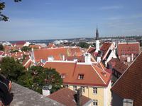 Blick über die Stadt Tallinn
