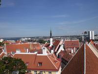 Blick über Tallinn