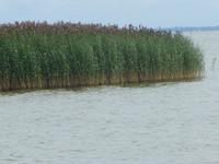 Strandpromenade -Kurische Nehrung auf dem Weg nach Nida