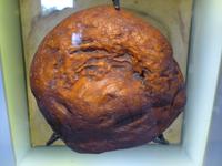 Größter Bernstein des Museums