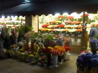 Blumenmarkt von Tallinn