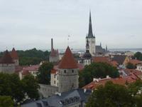 Blick auf Altstadt von Tallinn