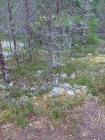 Nationalpark Lahemaa