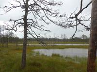 Nationalpark Lahemaa