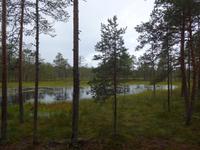 Nationalpark Lahemaa