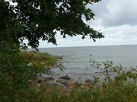Ostsee bei Altja