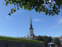 Altstadt von Tallinn