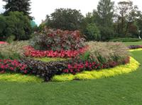 sehr gepflegte Parkanlagen