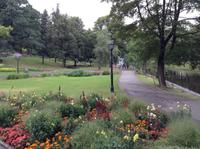 sehr gepflegte Parkanlagen