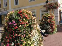 es blüht so wunderschön