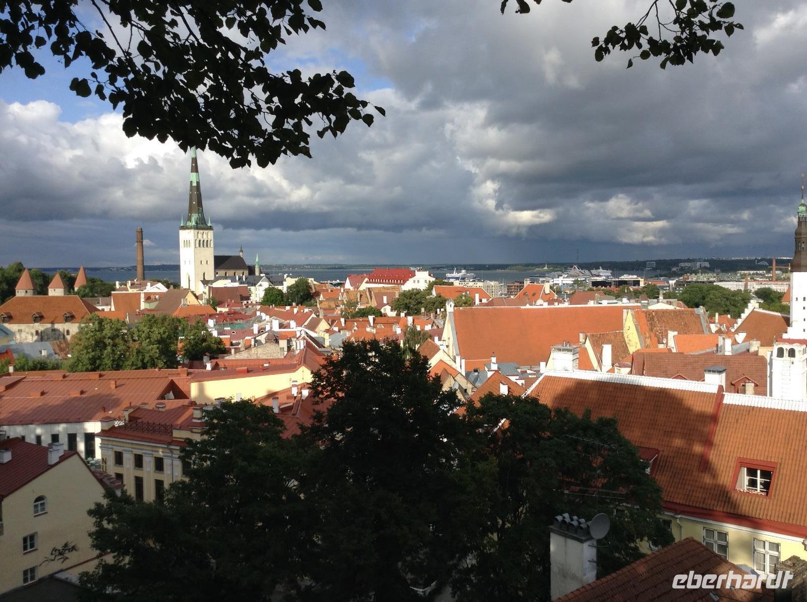 Blick über Tallinns Dächer