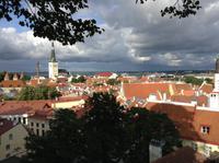 Blick über Tallinns Dächer