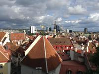 über Tallinns Dächern