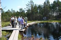 Unterwegs im Hochmoor