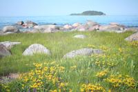 Im Lahemaa Nationalpark