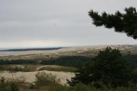 Kursiche Nehrung (Haffseite)