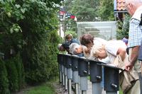 Besichtigung der Bernsteingalerie