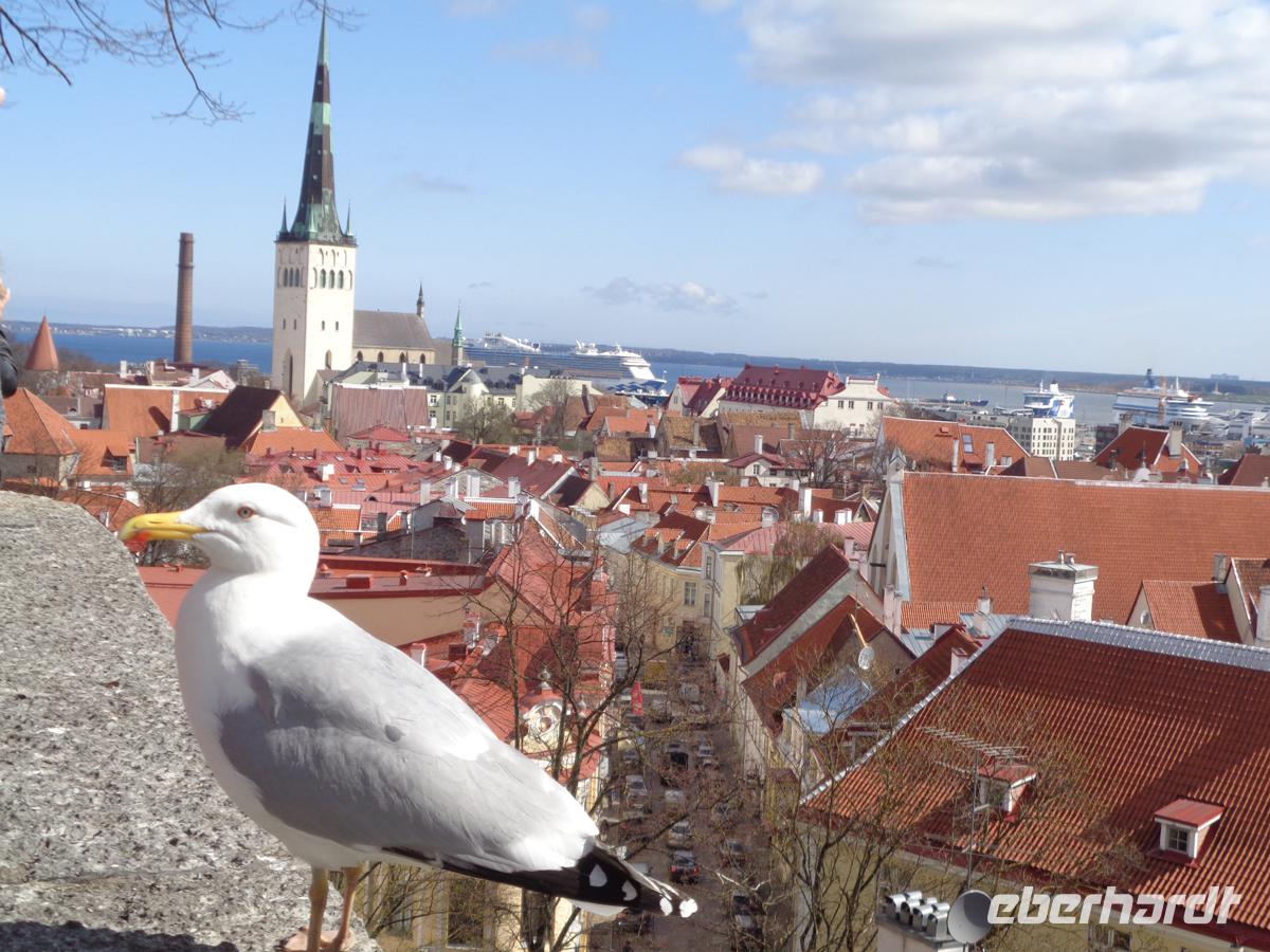 Blick auf die Unterstadt Tallin das alte Reval