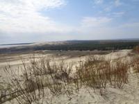 Blick von der Hohen Düne ins Königsberger Gebiet