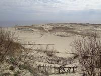 Auf der hohen Düne bei Nida