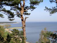 Der sog. Italienblick vom Thomas Mann Haus