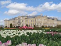 Tulpenpracht vor Schöoß Rundale