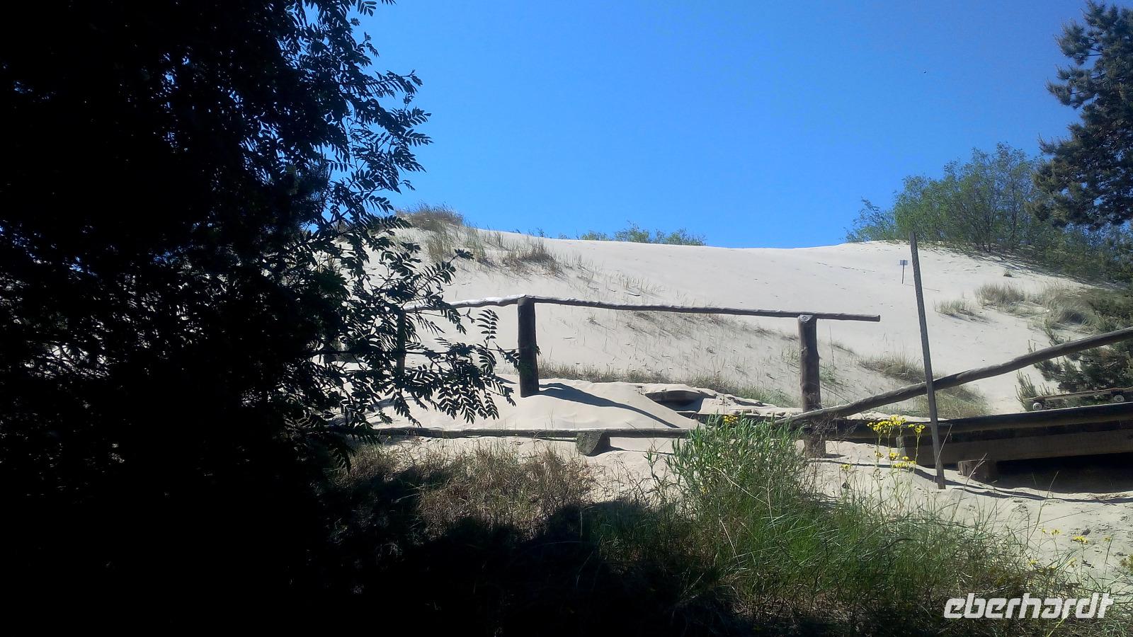  Kurische Nehrung , Paranider Düne(Hohe Düne) 