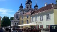 Tallin, Stadtführung auf dem Domberg,