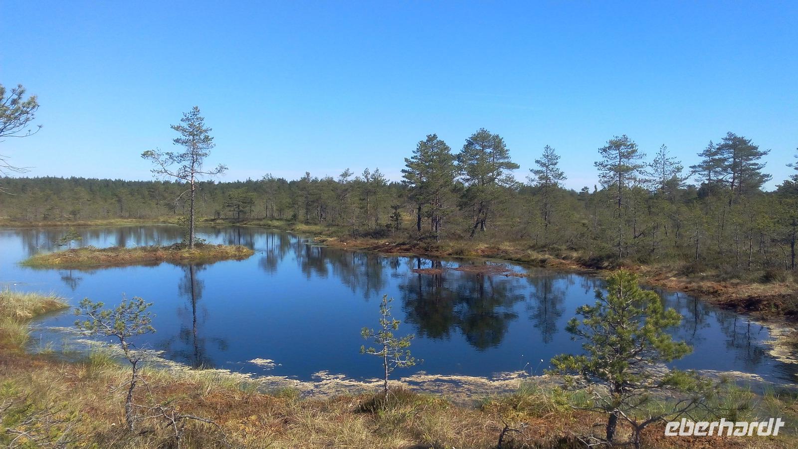 Ausflug in den Lahemaa-Nationalpark