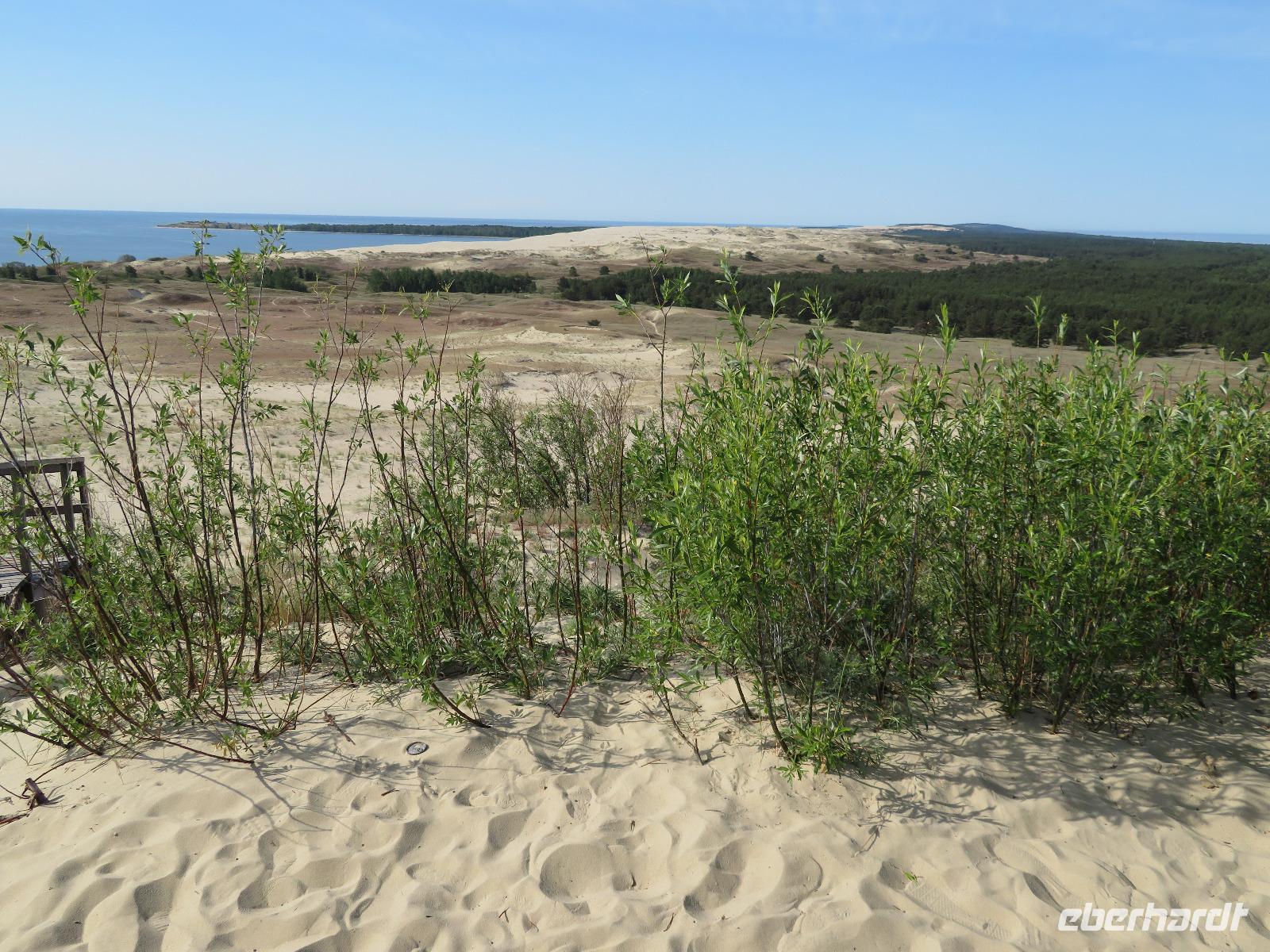 Hohe Düne bei Nidden