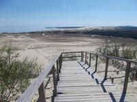 DSCN0856 Wanderdüne von oben