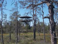 DSCN1118 Aussichtsturm NP