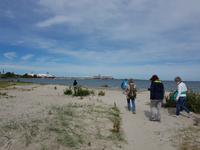 Baltikum, Estland, Tallinn