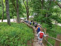 Baltikum, Lettland, Gauja Nationalpark