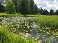 Baltikum, Lettland, Gauja Nationalpark