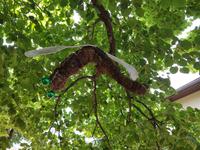 Baltikum, Lettland, Sigulda