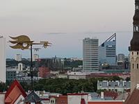 Baltikum, Estland, Tallinn