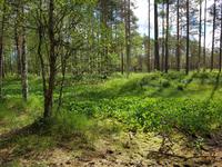 Baltikum, Estland, Lahemaa NP