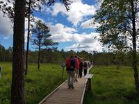 Baltikum, Estland, Lahemaa NP