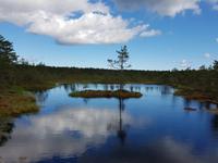 Baltikum, Estland, Lahemaa NP