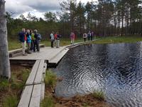 Baltikum, Estland, Lahemaa NP