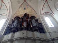 Orgel