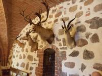 Ausstellung in Wasserburg