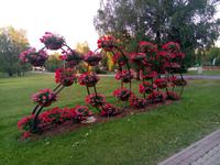 Unterwegs zum Ligofest