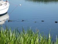 Baltikum, Litauen, Trakai