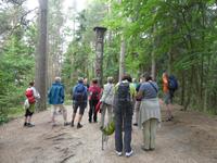 Baltikum, Litauen, Kurische Nehrung, Hexenberg