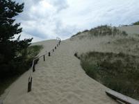 Baltikum, Litauen, Kurische Nehrung, Hohe Düne