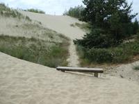 Baltikum, Litauen, Kurische Nehrung, Hohe Düne