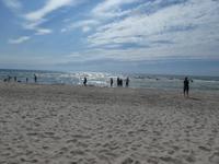 Baltikum, Litauen, Kurische Nehrung, Ostseestrand 