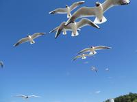 Baltikum, Lettland, Jurmala